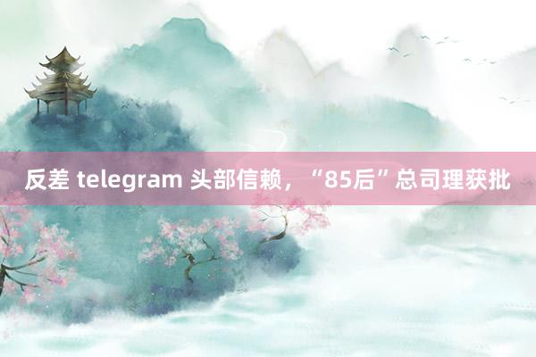 反差 telegram 头部信赖，“85后”总司理获批