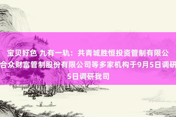 宝贝好色 九有一轨：共青城胜恒投资管制有限公司、合众财富管制股份有限公司等多家机构于9月5日调研我司