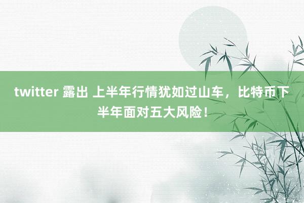 twitter 露出 上半年行情犹如过山车，比特币下半年面对五大风险！