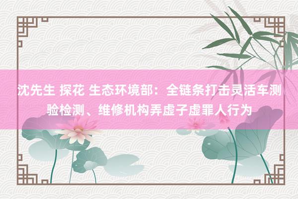 沈先生 探花 生态环境部：全链条打击灵活车测验检测、维修机构弄虚子虚罪人行为