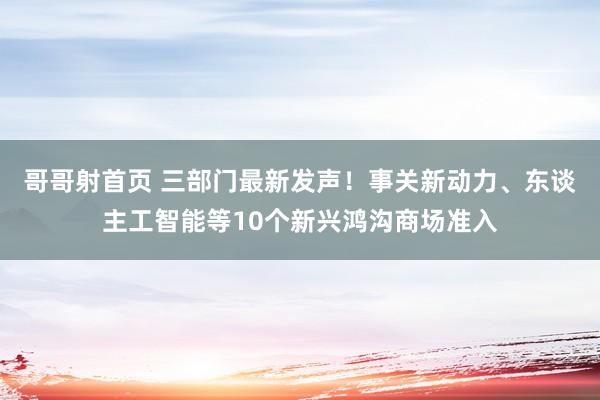 哥哥射首页 三部门最新发声！事关新动力、东谈主工智能等10个新兴鸿沟商场准入