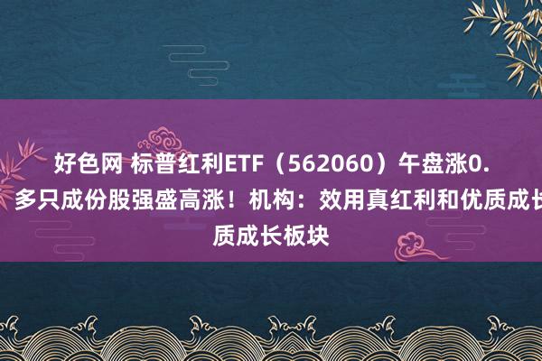 好色网 标普红利ETF（562060）午盘涨0.84%，多只成份股强盛高涨！机构：效用真红利和优质成长板块