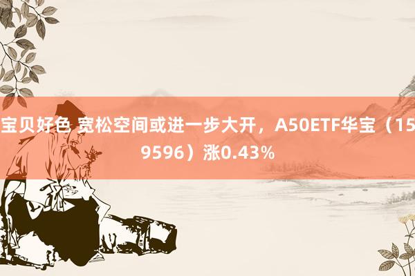 宝贝好色 宽松空间或进一步大开，A50ETF华宝（159596）涨0.43%