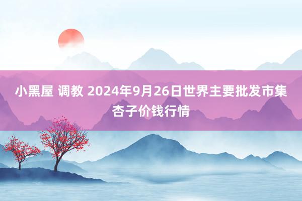 小黑屋 调教 2024年9月26日世界主要批发市集杏子价钱行情