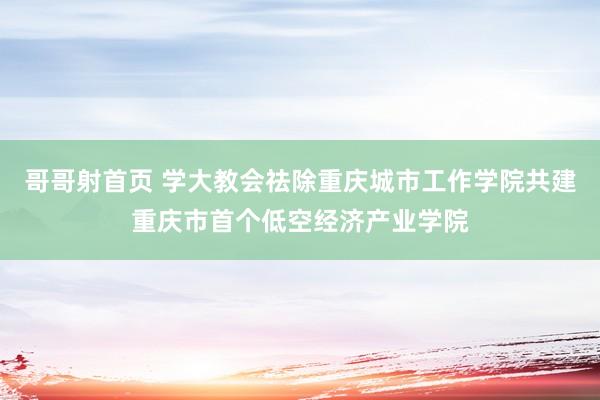 哥哥射首页 学大教会祛除重庆城市工作学院共建重庆市首个低空经济产业学院