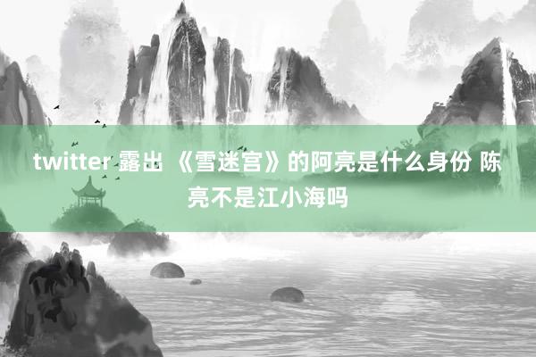 twitter 露出 《雪迷宫》的阿亮是什么身份 陈亮不是江小海吗