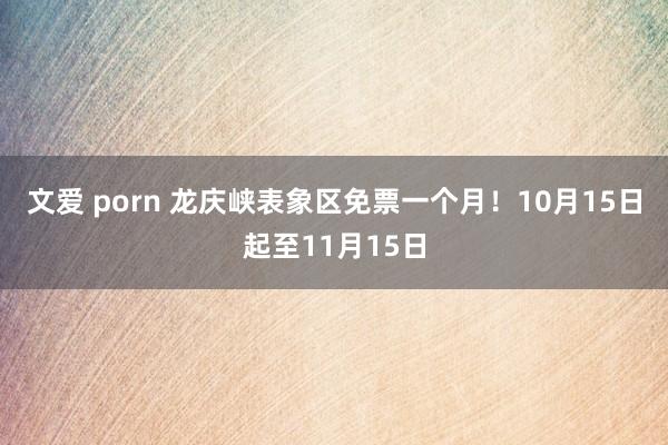 文爱 porn 龙庆峡表象区免票一个月！10月15日起至11月15日