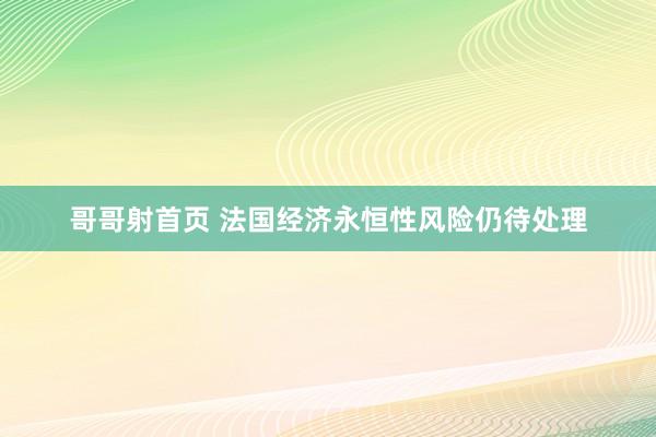 哥哥射首页 法国经济永恒性风险仍待处理