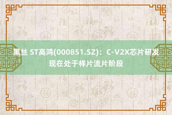 黑丝 ST高鸿(000851.SZ)：C-V2X芯片研发现在处于样片流片阶段