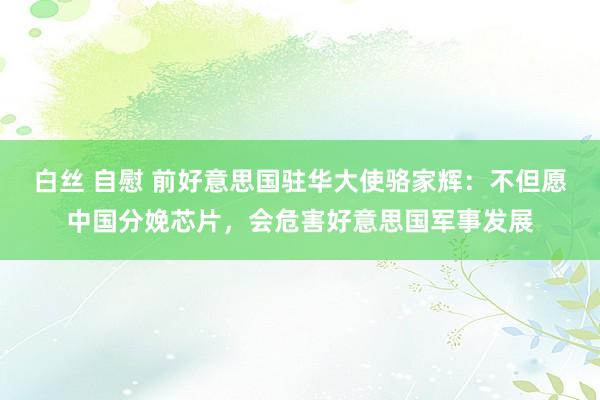 白丝 自慰 前好意思国驻华大使骆家辉：不但愿中国分娩芯片，会危害好意思国军事发展