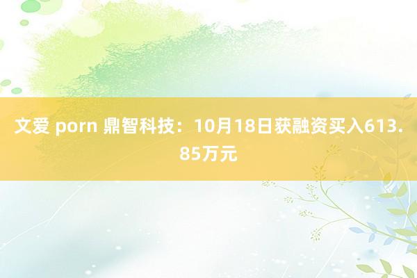 文爱 porn 鼎智科技：10月18日获融资买入613.85万元