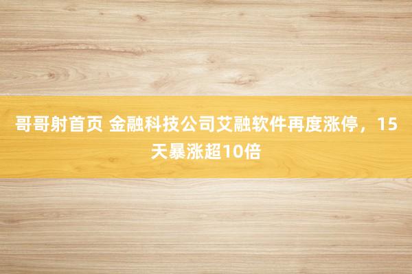 哥哥射首页 金融科技公司艾融软件再度涨停，15天暴涨超10倍