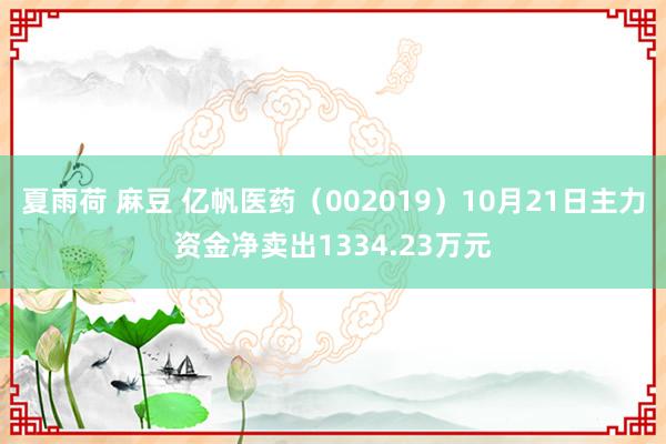 夏雨荷 麻豆 亿帆医药（002019）10月21日主力资金净卖出1334.23万元