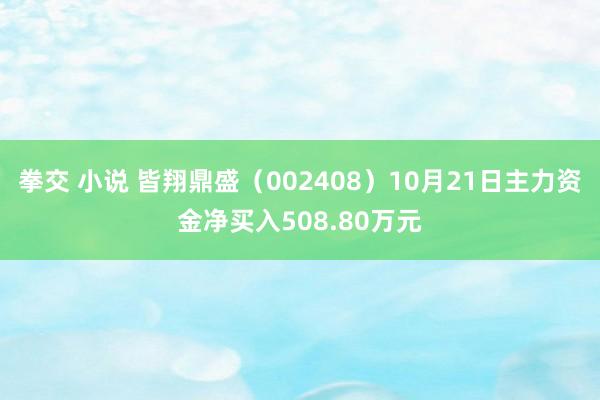 拳交 小说 皆翔鼎盛（002408）10月21日主力资金净买入508.80万元