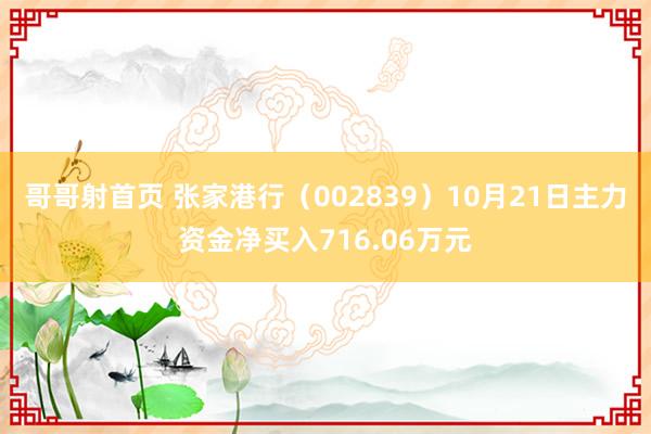 哥哥射首页 张家港行（002839）10月21日主力资金净买入716.06万元