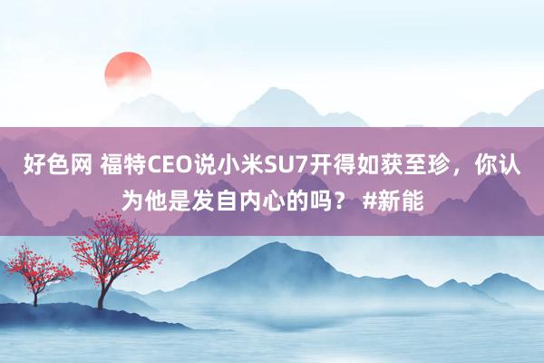 好色网 福特CEO说小米SU7开得如获至珍，你认为他是发自内心的吗？ #新能