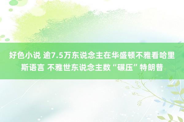 好色小说 逾7.5万东说念主在华盛顿不雅看哈里斯语言 不雅世东说念主数“碾压”特朗普