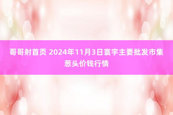 哥哥射首页 2024年11月3日寰宇主要批发市集葱头价钱行情