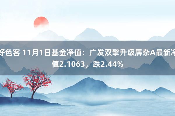 好色客 11月1日基金净值：广发双擎升级羼杂A最新净值2.1063，跌2.44%