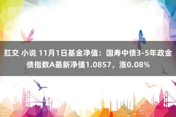 肛交 小说 11月1日基金净值：国寿中债3-5年政金债指数A最新净值1.0857，涨0.08%