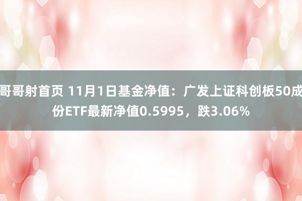 哥哥射首页 11月1日基金净值：广发上证科创板50成份ETF最新净值0.5995，跌3.06%