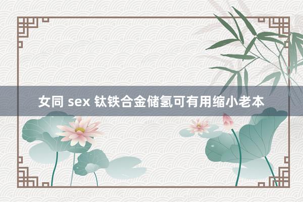 女同 sex 钛铁合金储氢可有用缩小老本