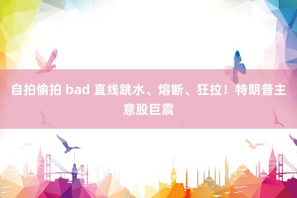 自拍偷拍 bad 直线跳水、熔断、狂拉！特朗普主意股巨震