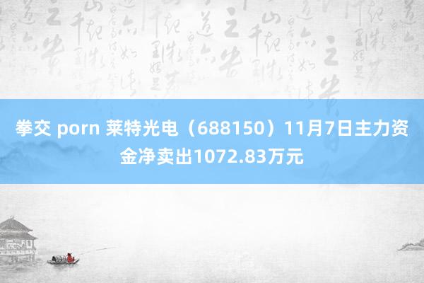 拳交 porn 莱特光电（688150）11月7日主力资金净卖出1072.83万元