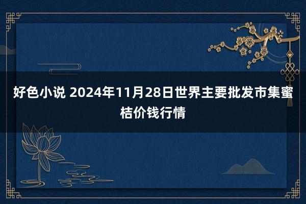 好色小说 2024年11月28日世界主要批发市集蜜桔价钱行情