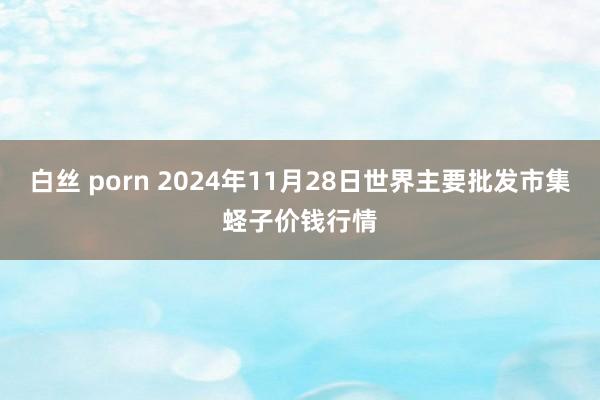 白丝 porn 2024年11月28日世界主要批发市集蛏子价钱行情