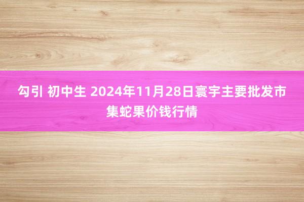 勾引 初中生 2024年11月28日寰宇主要批发市集蛇果价钱行情