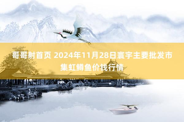 哥哥射首页 2024年11月28日寰宇主要批发市集虹鳟鱼价钱行情