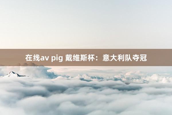 在线av pig 戴维斯杯：意大利队夺冠