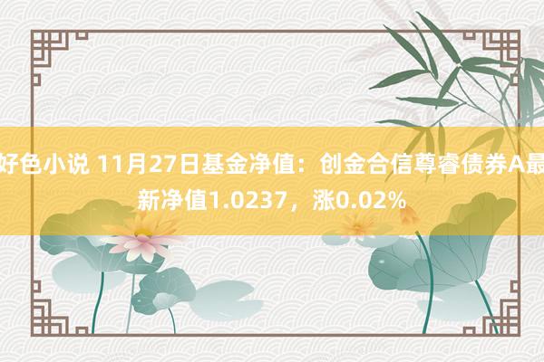 好色小说 11月27日基金净值：创金合信尊睿债券A最新净值1.0237，涨0.02%