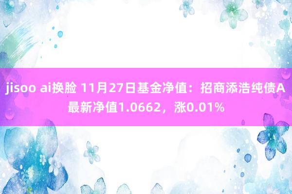 jisoo ai换脸 11月27日基金净值：招商添浩纯债A最新净值1.0662，涨0.01%