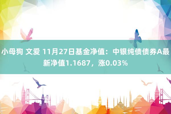 小母狗 文爱 11月27日基金净值：中银纯债债券A最新净值1.1687，涨0.03%