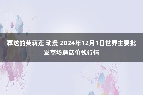 葬送的芙莉莲 动漫 2024年12月1日世界主要批发商场蘑菇价钱行情