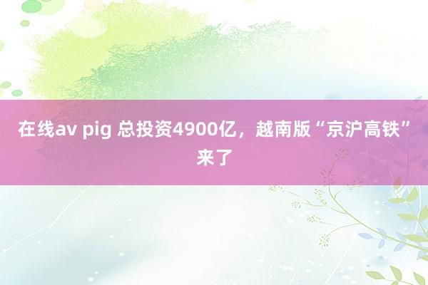 在线av pig 总投资4900亿，越南版“京沪高铁”来了