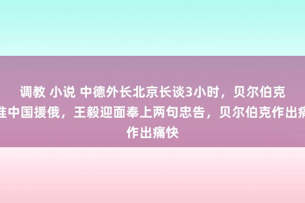 调教 小说 中德外长北京长谈3小时，贝尔伯克不准中国援俄，王毅迎面奉上两句忠告，贝尔伯克作出痛快