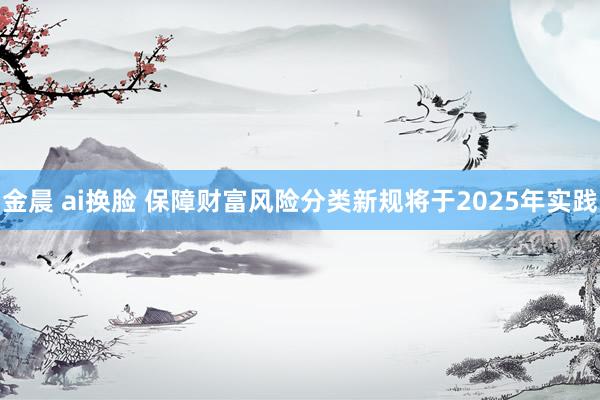 金晨 ai换脸 保障财富风险分类新规将于2025年实践