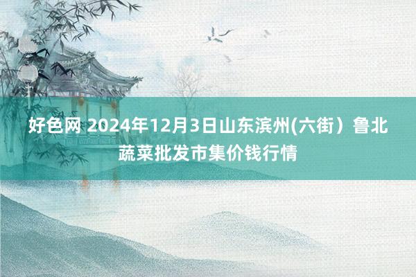 好色网 2024年12月3日山东滨州(六街）鲁北蔬菜批发市集价钱行情