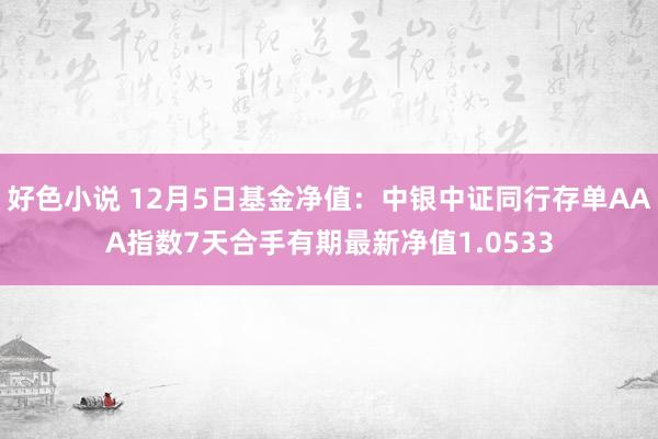 好色小说 12月5日基金净值：中银中证同行存单AAA指数7天合手有期最新净值1.0533