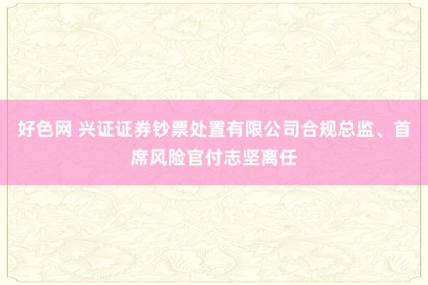 好色网 兴证证券钞票处置有限公司合规总监、首席风险官付志坚离任