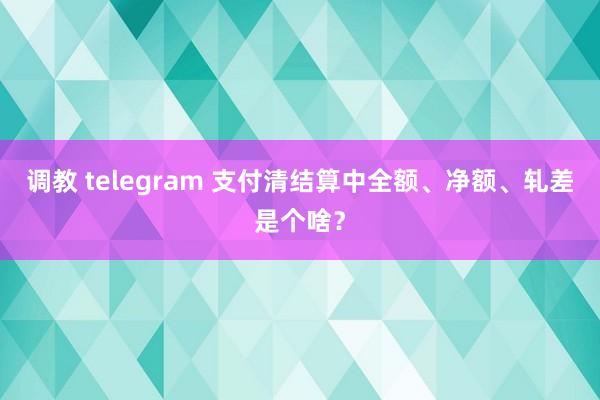 调教 telegram 支付清结算中全额、净额、轧差是个啥？