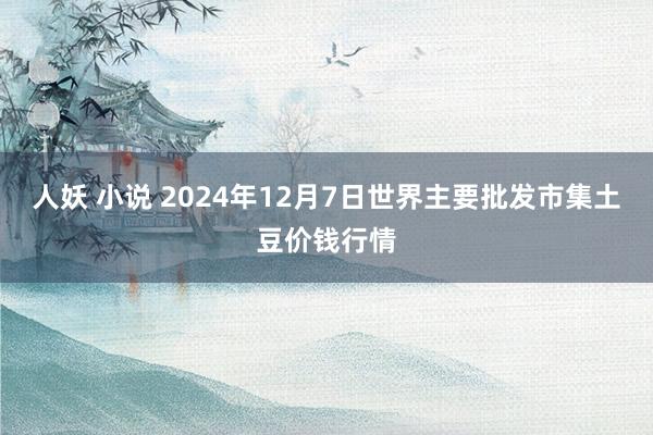 人妖 小说 2024年12月7日世界主要批发市集土豆价钱行情