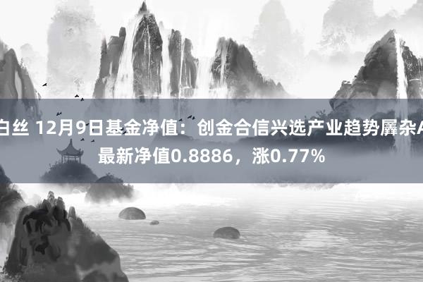 白丝 12月9日基金净值：创金合信兴选产业趋势羼杂A最新净值0.8886，涨0.77%