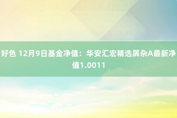 好色 12月9日基金净值：华安汇宏精选羼杂A最新净值1.0011