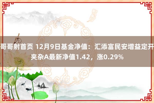 哥哥射首页 12月9日基金净值：汇添富民安增益定开夹杂A最新净值1.42，涨0.29%