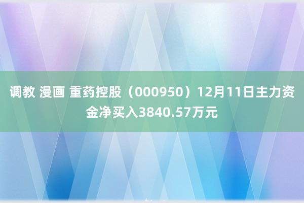 调教 漫画 重药控股（000950）12月11日主力资金净买入3840.57万元