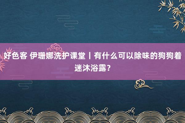 好色客 伊珊娜洗护课堂丨有什么可以除味的狗狗着迷沐浴露？